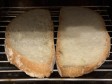 crostone che si crede lasagna crostone che si crede lasagna
