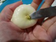 Julia Child's oignons glacès a braun
