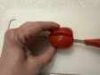 pasta caprese pomodoro e mozzarella pasta caprese pomodoro e mozzarella