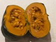 cuocere la zucca in friggitrice ad aria