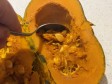 cuocere la zucca in friggitrice ad aria