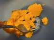 zucca ripiena