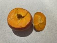 zucca ripiena