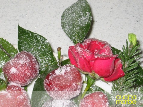 frutta e fiori brinati