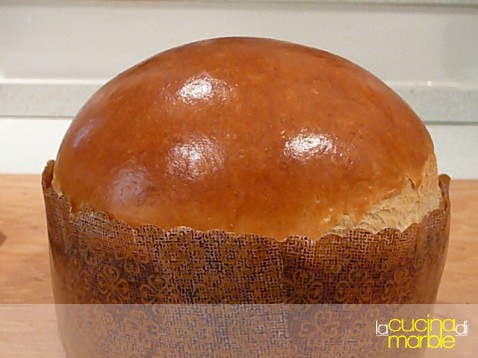 panettone gastronomico panettone gastronomico